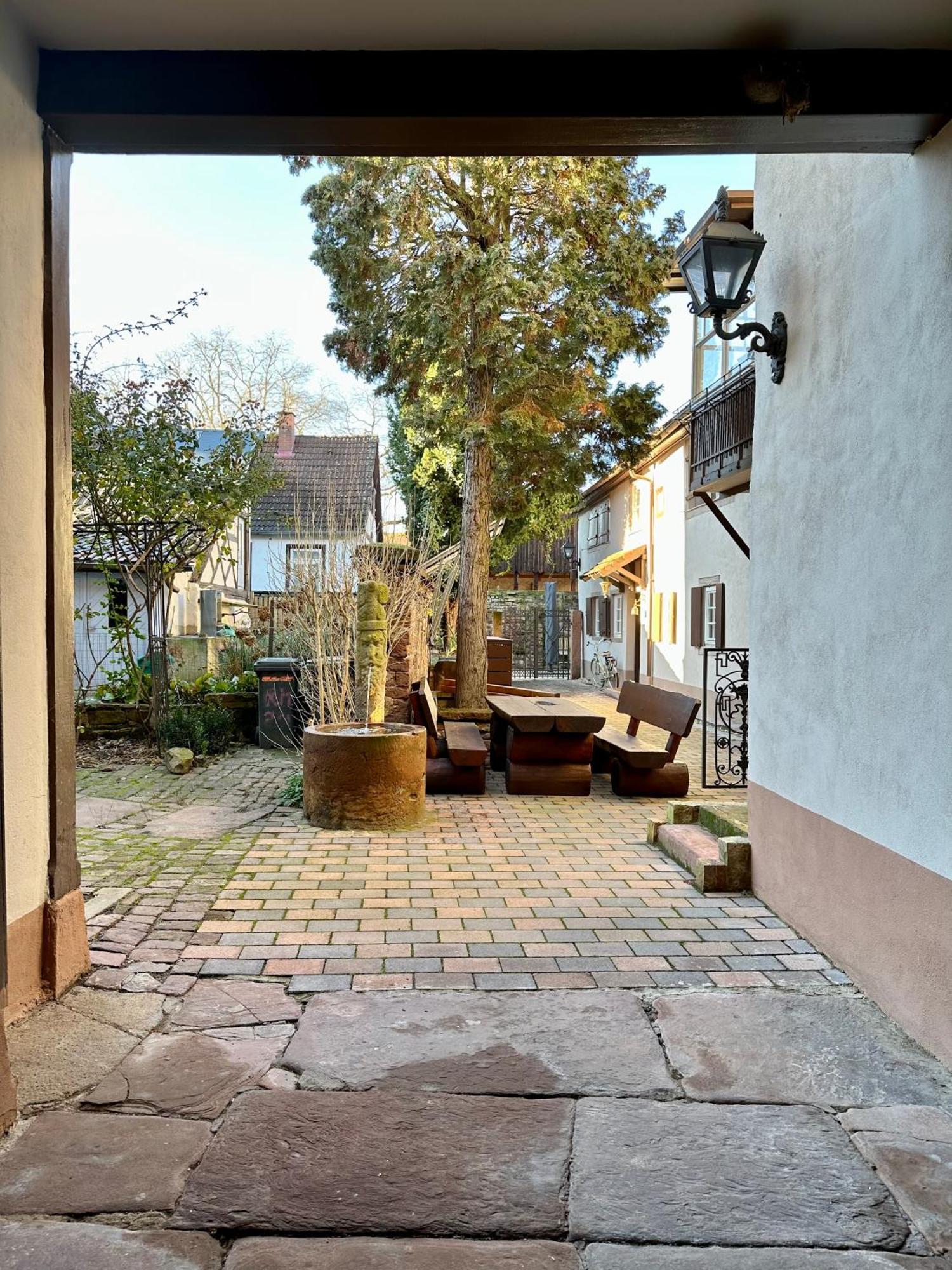 Exklusives Haus, Ruhig Gelegen Im Innenhof, Zentral, Lichtdurchflutet, 卡尔斯鲁厄 外观 照片